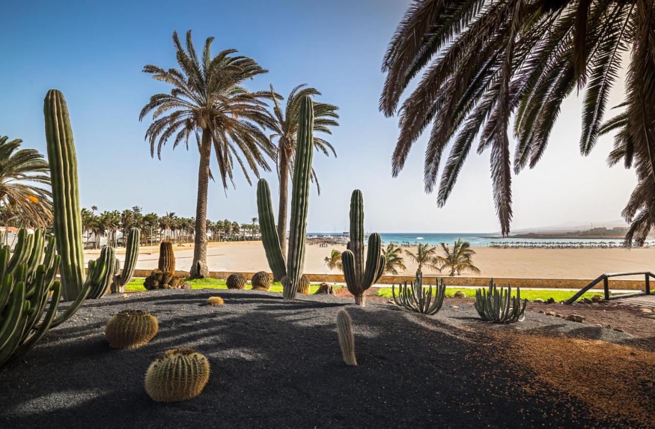 Barcelo Fuerteventura Royal Level - Adults Only 호텔 칼레타데푸스테 외부 사진